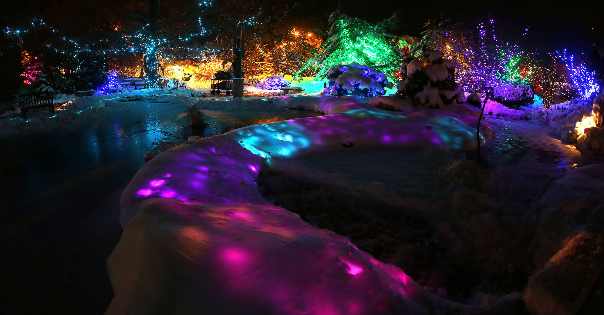 112718-botanical-lights-024